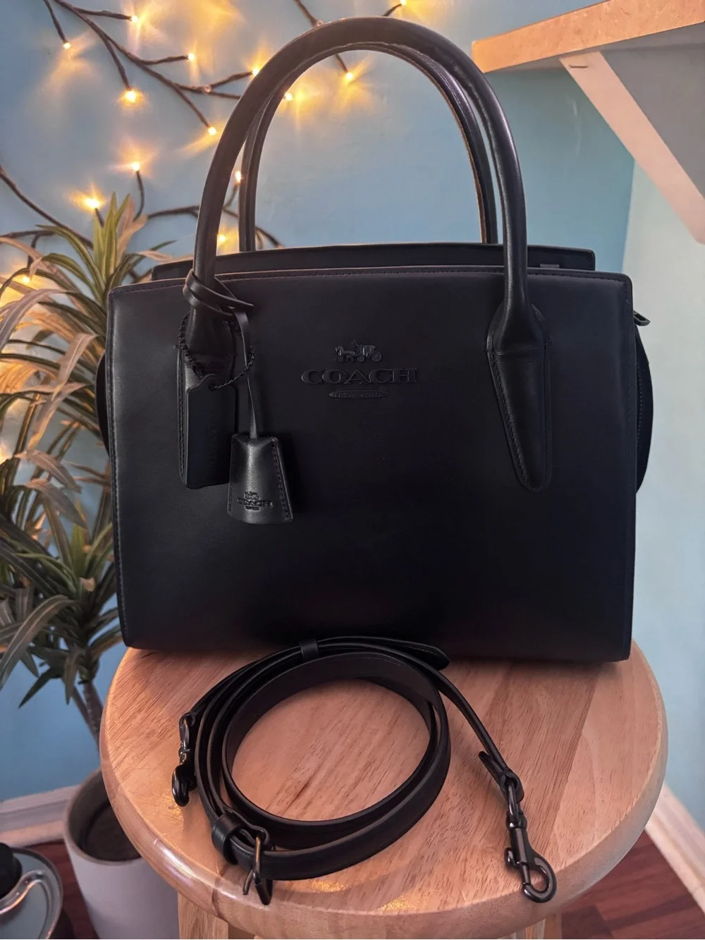 Coach LARGE Black Andrea Carryall Satchel